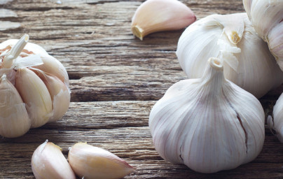 Cesnak (Allium sativum) Cesnak (Allium sativum)
